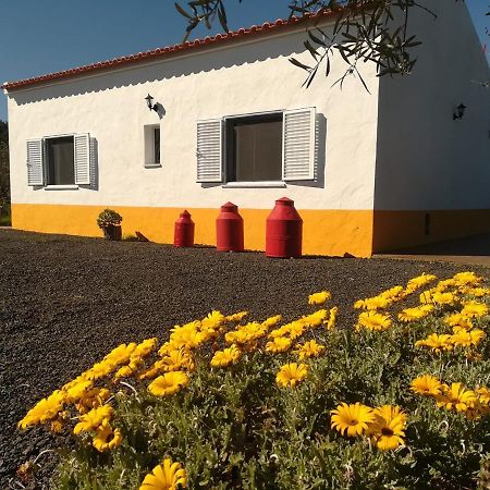 Monte Quinta Verde Ferreira Do Alentejo Luaran gambar