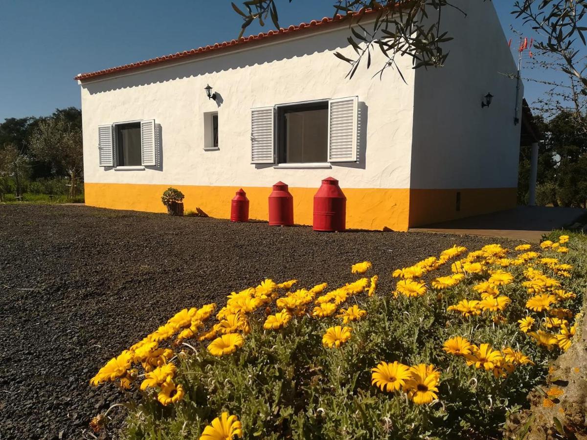 Monte Quinta Verde Ferreira Do Alentejo Luaran gambar